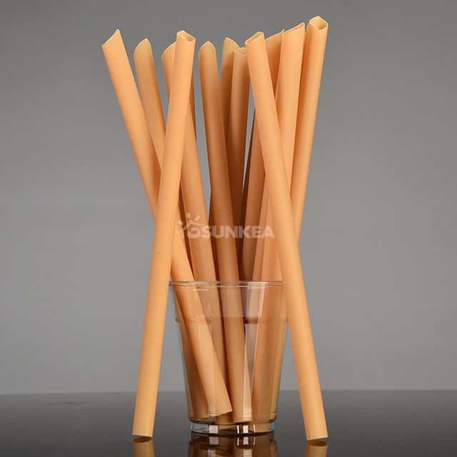 PHA Biobased Fiber Bamboo Powder Straws