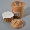 Ice Cream Tub for Freezer