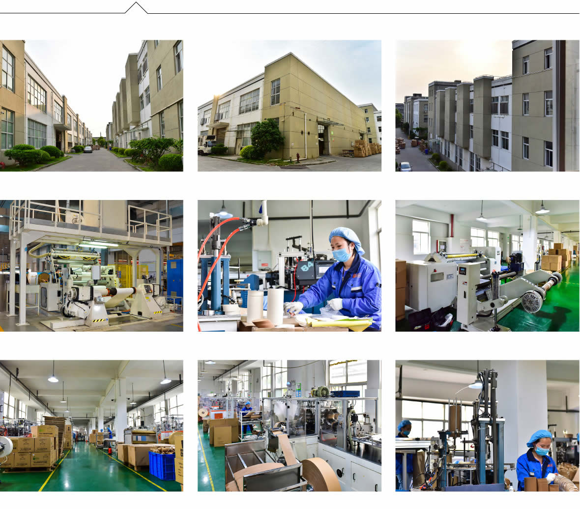Professional food packaging factory 
