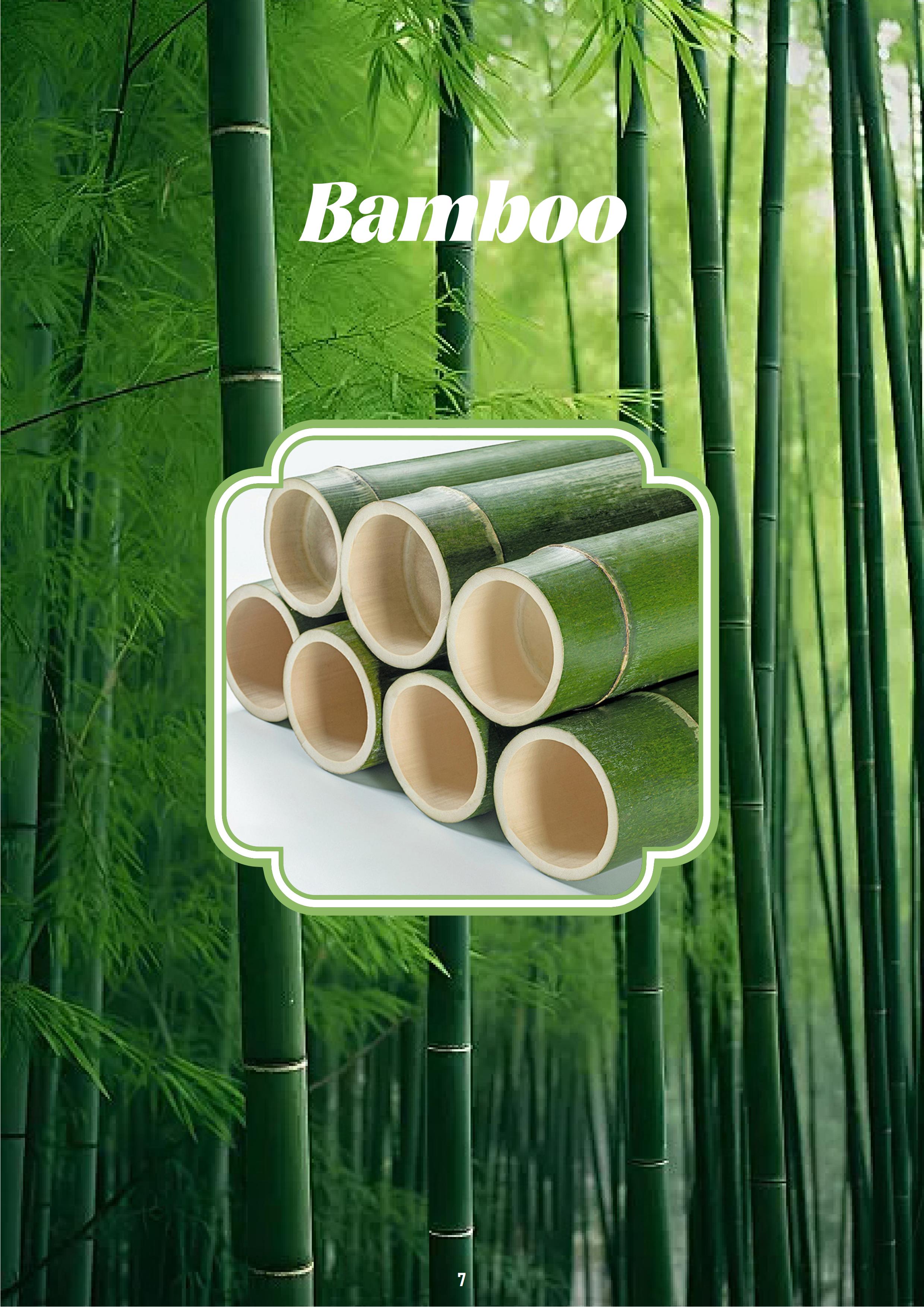 竹木刀叉勺牙签系列-压缩_08.jpg