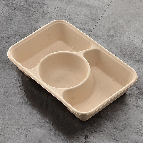 3-compartment Biodegradable Takeaway Food Box with Lid