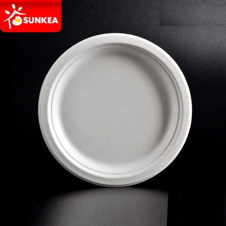 Compostable White Sugarcane Pulp / Bagasse Plate