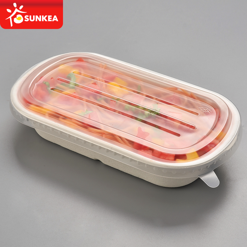 Compostable Eco-friendly Leakproof Bento Lunch Box