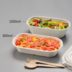 new mold take away food packaging