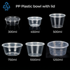 PP Plastic bowl with lid